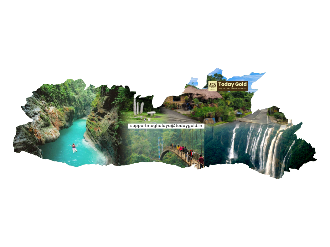 Digital Gold Investment in Meghalaya